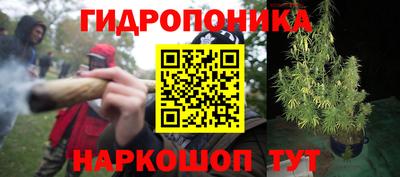 гашик Коммунар