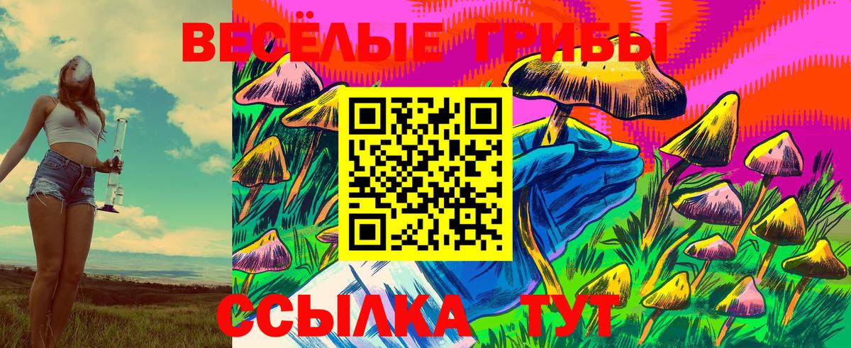Казань  Псилоцибиновые грибы Psilocybe  Вход с VPN  Псилоцибиновые грибы ЛСД 
