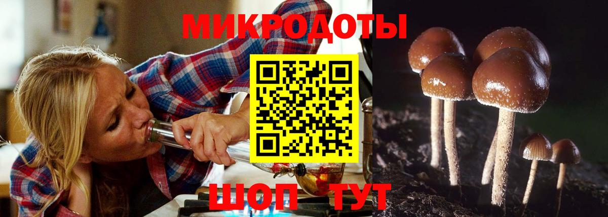 Псилоцибиновые грибы мицелий Казань